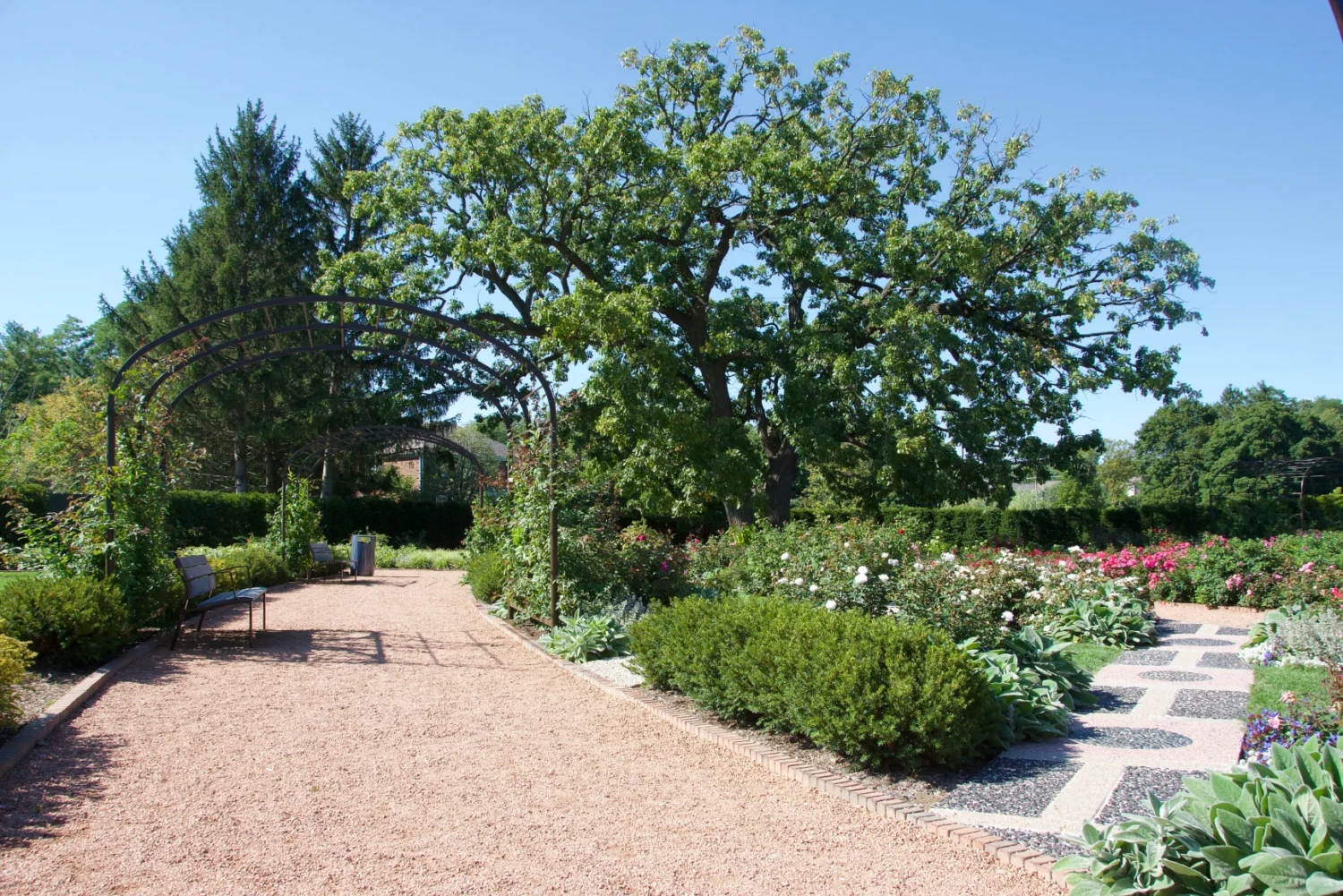 Park in Wheaton, IL